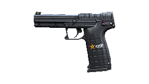 PMR-30-CFS 2019
