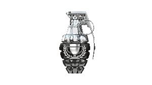 MK2-Grenade 1vs1 Silver