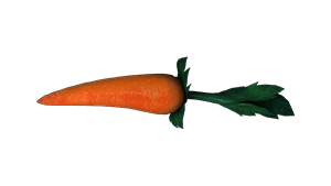 Carrot Stick