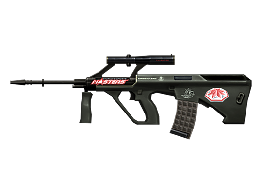 Steyr AUG A1-WEM 2010