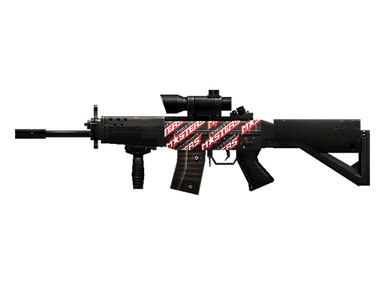 SG552-WEM 2010