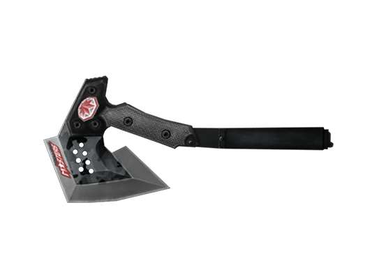 BC Axe-WEM 2010