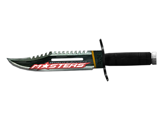 Knife-WEM 2010