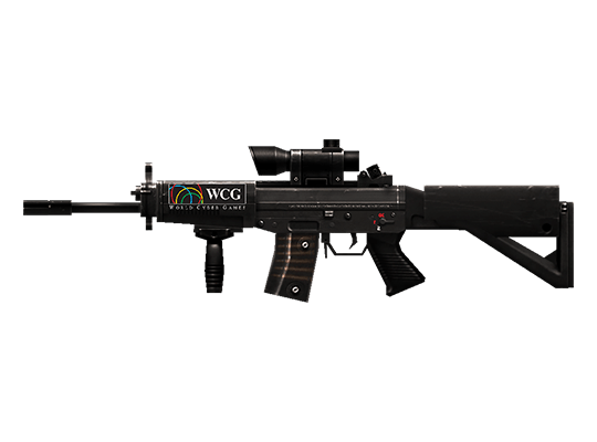 SG552-WCG 2011