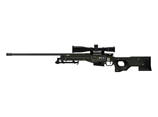 AWM-WCG 2011