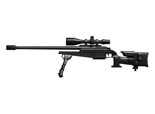 R93 T2