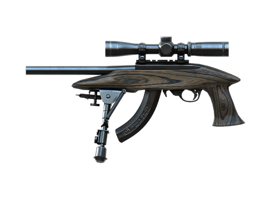 Ruger Charger