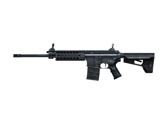 SIG 716