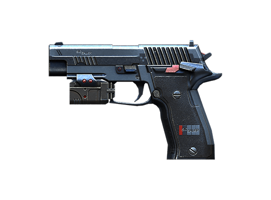 P228-Slate