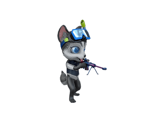 Snorkel Dog-Barrett-Water