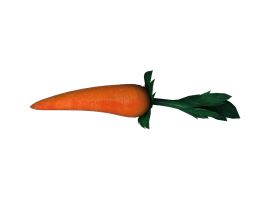 Carrot Stick