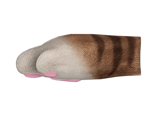 Tiger's Paws
