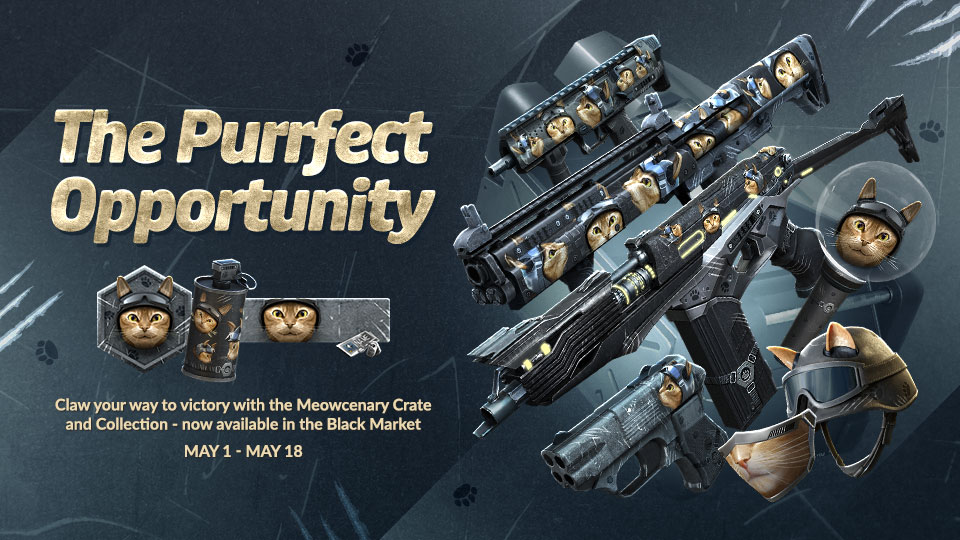 Image: https://z8games.akamaized.net/cfna/web/main/Forum/250429_cfwe_catcrate_forum.jpg