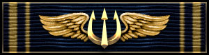 Seal Team Member