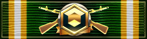 Weapon Collector