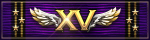 15 Year Veteran